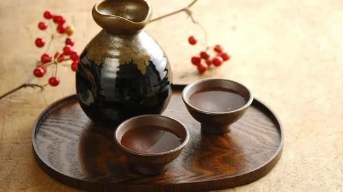 醬酒 醞釀于時光的成熟人生哲學