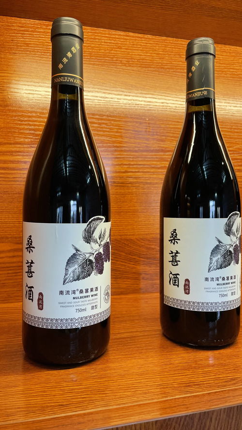 南流灣桑葚酒新品發布暨招商會圓滿成功，共釀健康生活新滋味