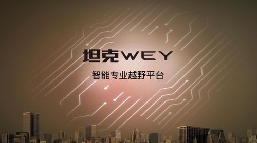靴子落地，坦克來(lái)了 技術(shù)開(kāi)發(fā)的破局與深耕